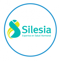 Logo_Silesia